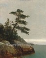 The Old Pine Darien Connecticut Luminism seascape John Frederick Kensett